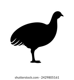 Guinea Fowl Bird Silhouette, Vector silhouette of Guinea Fowls in different positions.