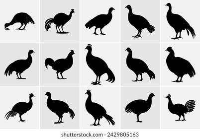 Guinea Fowl Bird Silhouette, Vector silhouette of Guinea Fowls in different positions.