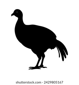 Guinea Fowl Bird Silhouette, Vector silhouette of Guinea Fowls in different positions.