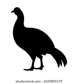 Guinea Fowl Bird Silhouette, Vector silhouette of Guinea Fowls in different positions.