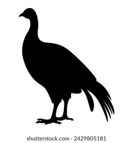 Guinea Fowl Bird Silhouette, Vector silhouette of Guinea Fowls in different positions.