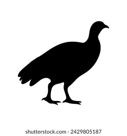 Guinea Fowl Bird Silhouette, Vector silhouette of Guinea Fowls in different positions.