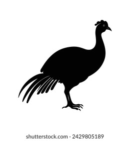 Guinea Fowl Bird Silhouette, Vector silhouette of Guinea Fowls in different positions.