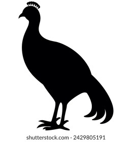 Guinea Fowl Bird Silhouette, Vector silhouette of Guinea Fowls in different positions.