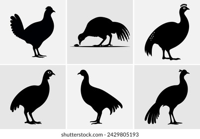 Guinea Fowl Bird Silhouette, Vector silhouette of Guinea Fowls in different positions.