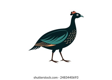 Guinea fowl bird vector art image illustration 