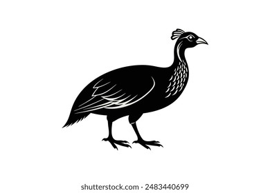 Guinea fowl bird vector art image illustration 