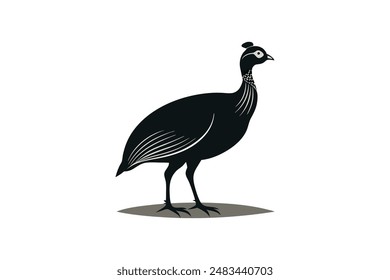 Guinea fowl bird vector art image illustration 