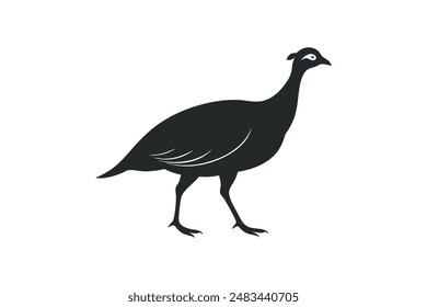 Guinea fowl bird vector art image illustration 