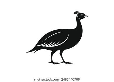 Guinea fowl bird vector art image illustration 