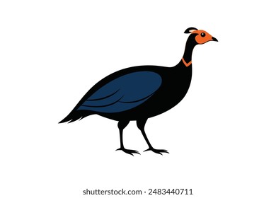 Guinea fowl bird vector art image illustration 