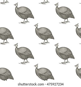 Guinea fowl birds. Seamless vector pattern. Black and white illustration.