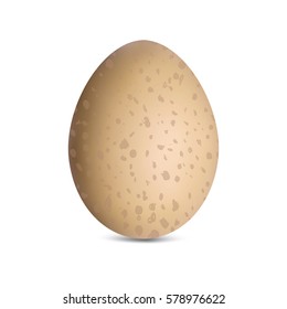 Guinea fowl egg. Vector illustration.