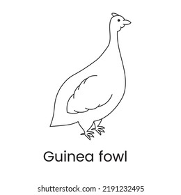 Guinea fowl icon line in vector, illustration of a bird.