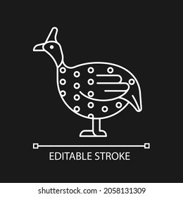 Guinea fowl linear icon for dark theme. Domesticated bird. Helmeted guineafowl. African breed. Thin line customizable illustration. Isolated vector contour symbol for night mode. Editable stroke