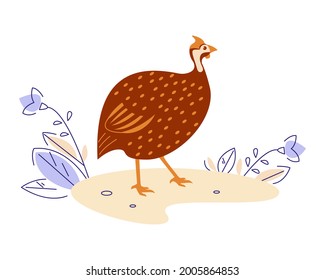 Guinea fowl in nature. Vector illustration in flat cartoon style.