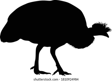 Guinea Guinea Fowl (Numididae) Standing On a Side View Silhouette Found In Map Of Africa