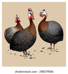 Guinea fowls