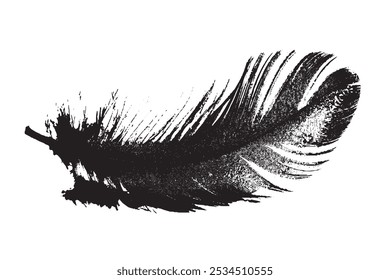 Guinea hen feather with light grey background
