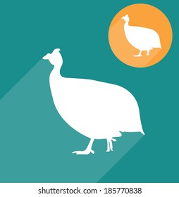 Guinea hen, guinea fowl