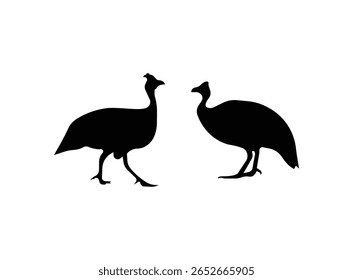 guiné quando ilustração vetorial, guiné galinha ícone cabeça linha arte ilustração vetorial em fundo transparente.