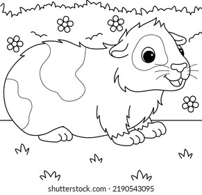 Guinea Pig Animal Coloring Page for Kids