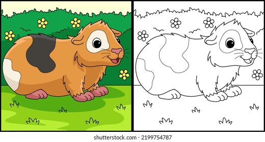 Guinea Pig Animal Coloring Page Illustration