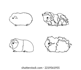 Guinea pig breeds in line style. Pet rodents collection and icons. Isolated vector black line, rex, simple, sheva, CH-teddy