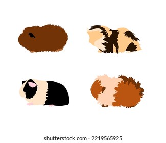 Guinea pig breedsr in silhouette style. Pet rodents collection and icons. Isolated vector  with different breeds, rex, simple, CH-teddy, Sheba