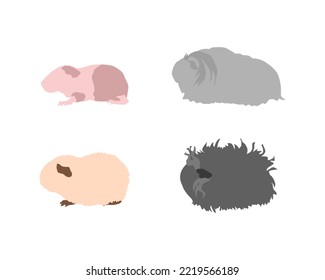 Guinea pig breedsr in silhouette style. Pet rodents collection and icons. Isolated vector  with different breeds, baldwin, silkie, Am-teddy, Lunkaria