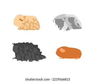 Guinea pig breedsr in silhouette style. Pet rodents collection and icons. Isolated vector  with different breeds,curly, peruvian, merino, self