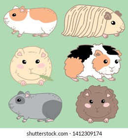 
Guinea Pig Cartoon Cute Set Vector