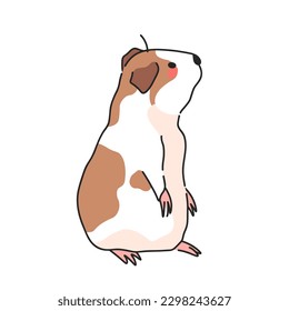 Guinea pig. Cartoon vector drawing.