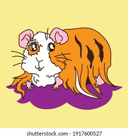 Guinea Pig Cavia clipart vector