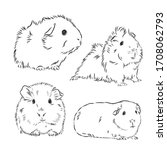 Guinea pig or Cavy inky hand drawn sketch vector illustration, Guinea pig vector sketch illustration