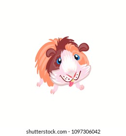 Guinea pig clipart illustration vector 