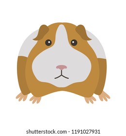 Guinea pig color vector icon. Flat design