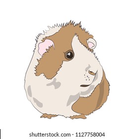 366 Guinea pig black and white cartoon Images, Stock Photos & Vectors ...