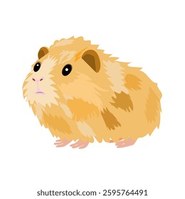 Guinea pig colored isolated, flat design, side view, adorable pet