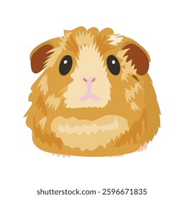 Guinea pig colored isolated, flat design, side view, adorable pet