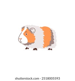 Guinea pig. Cute fluffy fat pet. A domestic rodent with a gray-orange coat. Little funny character. Cartoon style. Hand drawn. Flat vector illustration isolated on white background.