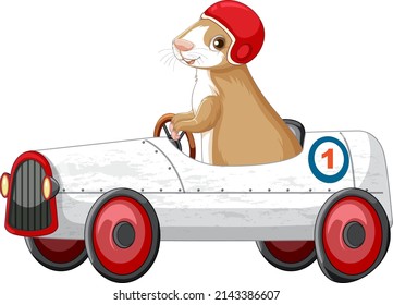 Guinea pig driving car toy cartoon illustration