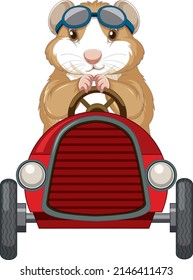 Guinea pig driving car toy cartoon illustration