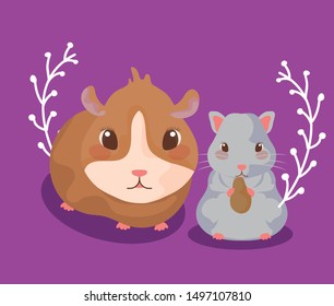 guinea pig with hamster baby animals