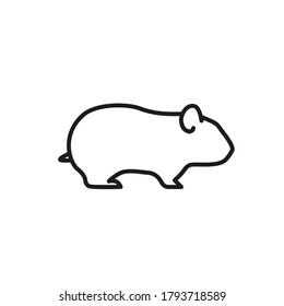 Guinea pig or Hamster Vector icon design. Isolated linear small pet flat illustration