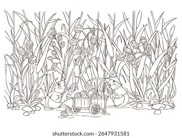 Cobaias porcas de colheita em um campo em arte de linha para colorir