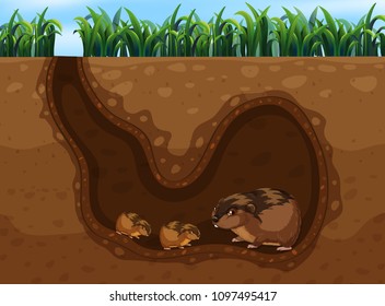 Guinea Pig in the Hole illustration