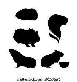 Guinea pig icons and silhouettes. Set of illustrations in different poses.