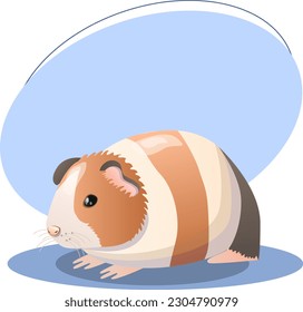 Guinea pig illustration. Animal, ears, paws, fluffy, colorful. Editable vector graphic design.