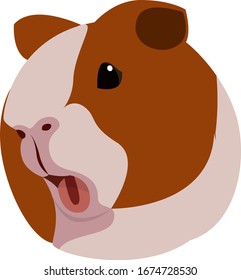 Guinea pig, illustration, vector on white background.